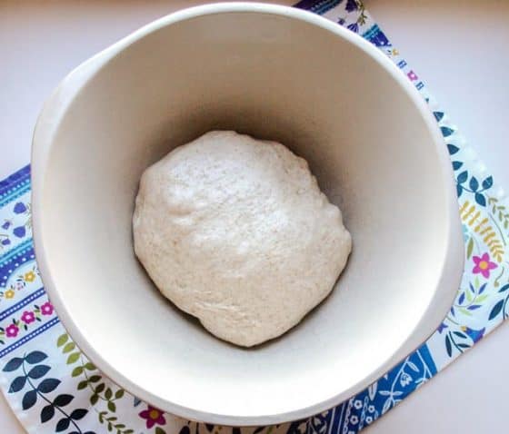 Easy Sourdough in bowl 