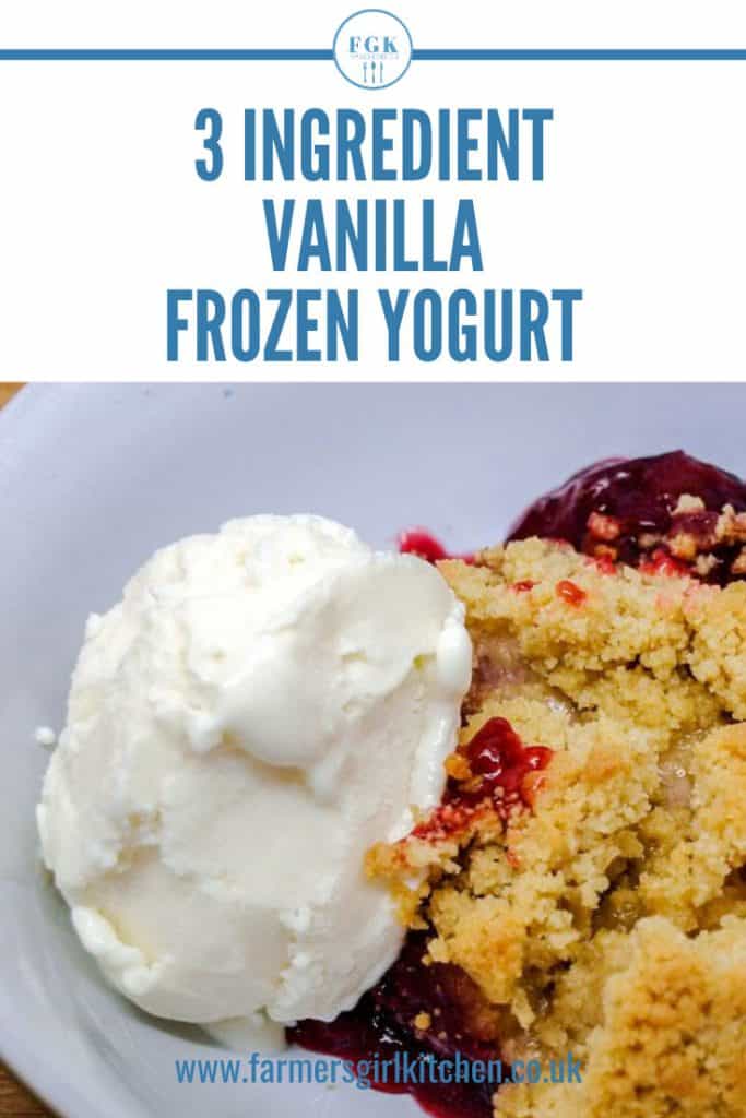 Close up of bowl of Vanilla Frozen Yogurt with fruit crumble - Text reads 3 Ingredient Vanilla Frozen Yogurt.