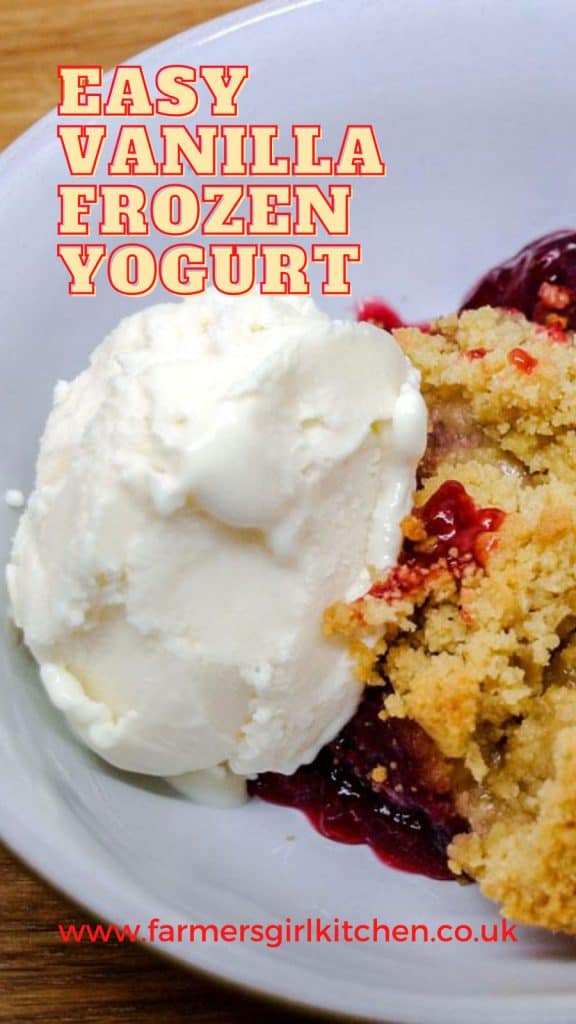 Bowl of Vanilla Frozen Yogurt with Fruit Crumble. Text reads Easy Vanilla Frozen Yogurt