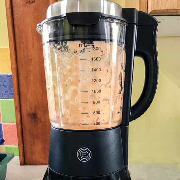 Froothie Blender with pineapple and chillies