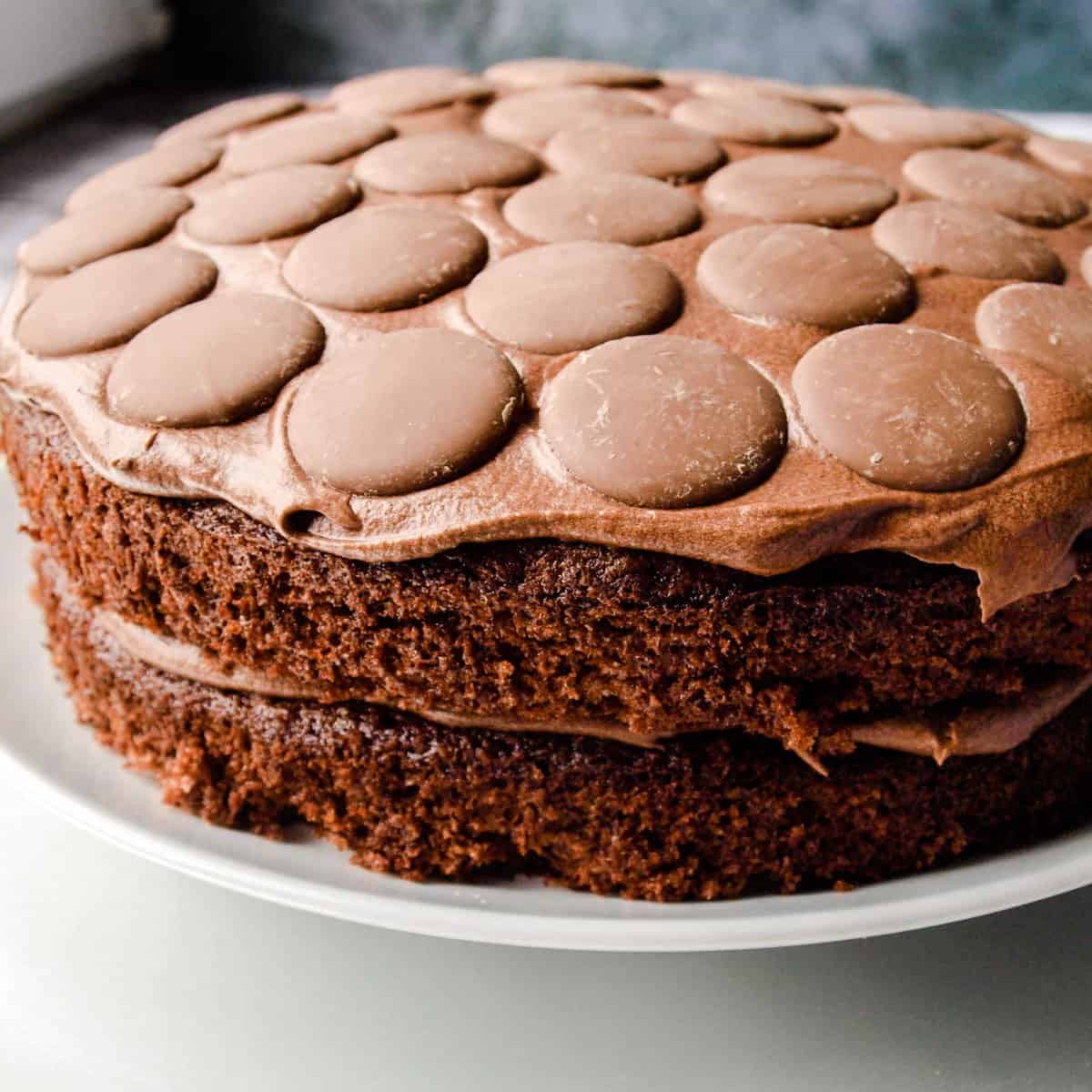 Easy Chocolate Button Cake Farmersgirl Kitchen