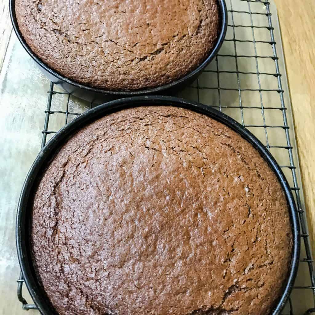 Two chocolate sponge cakes in tins