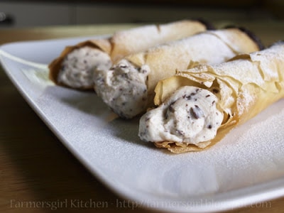 Chocolate Dipped Cannoli on plate