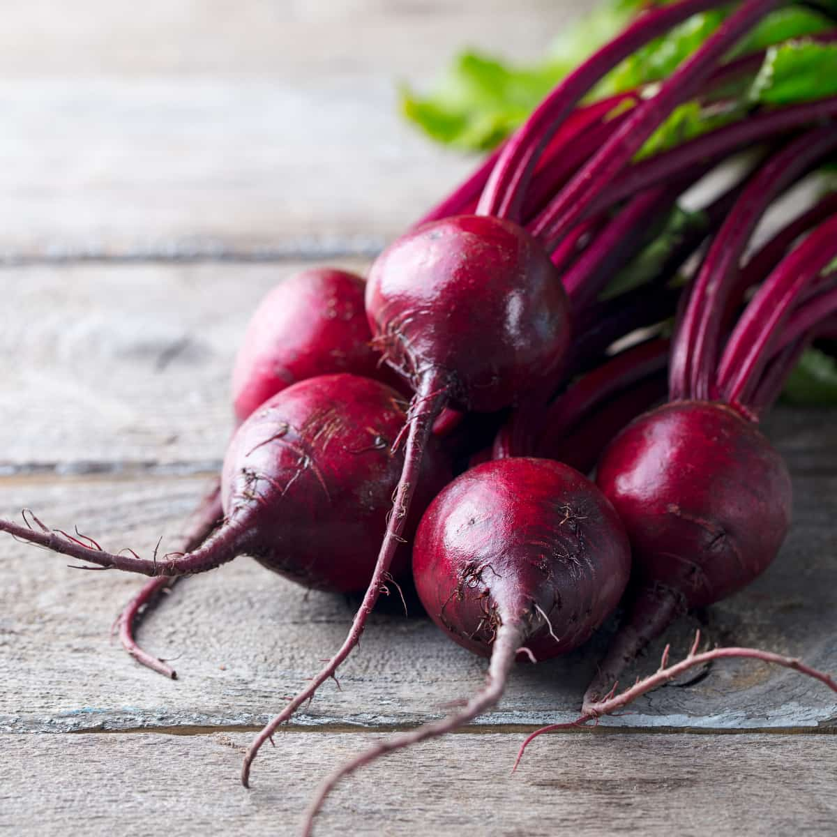 Beetroot with leaves