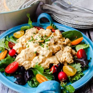 Plate of Salad with Coronation Turkey