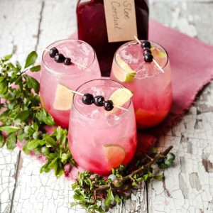 Sloe Cordial with bottle, glasses and leaves