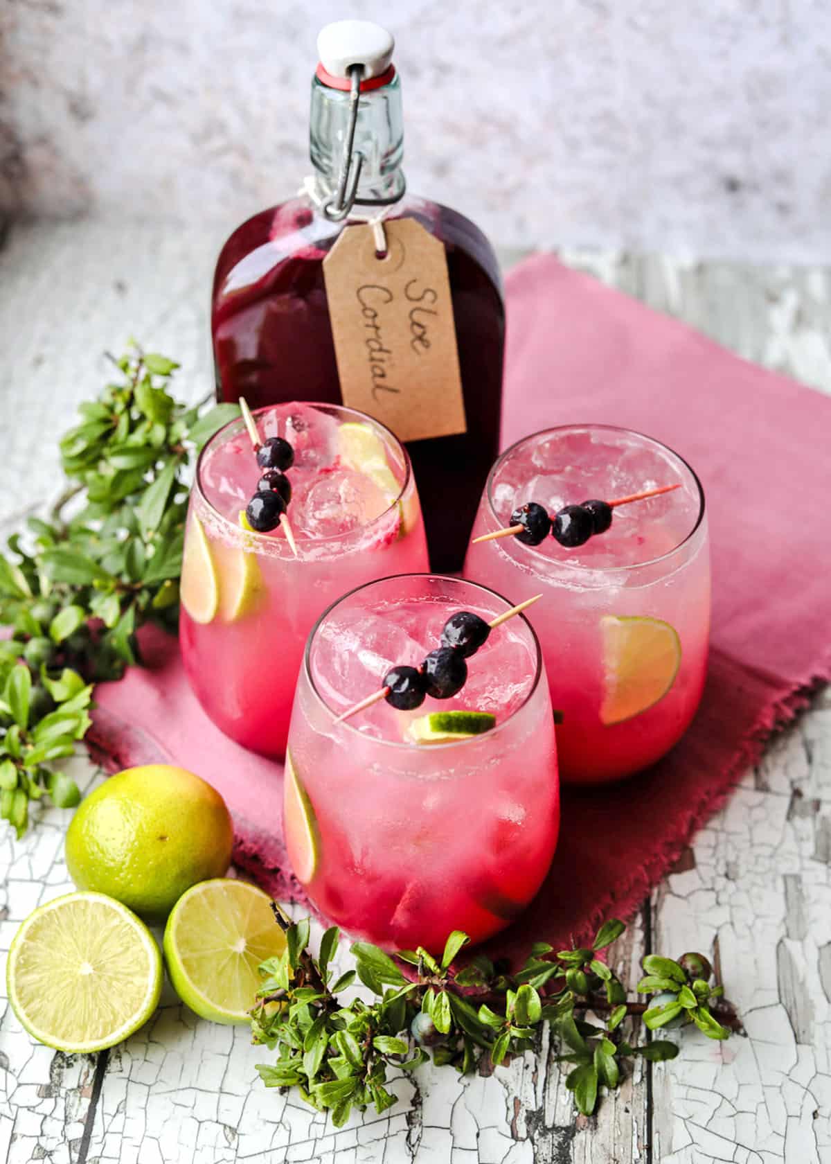 Sloe Cordial with glasses, limes and leaves