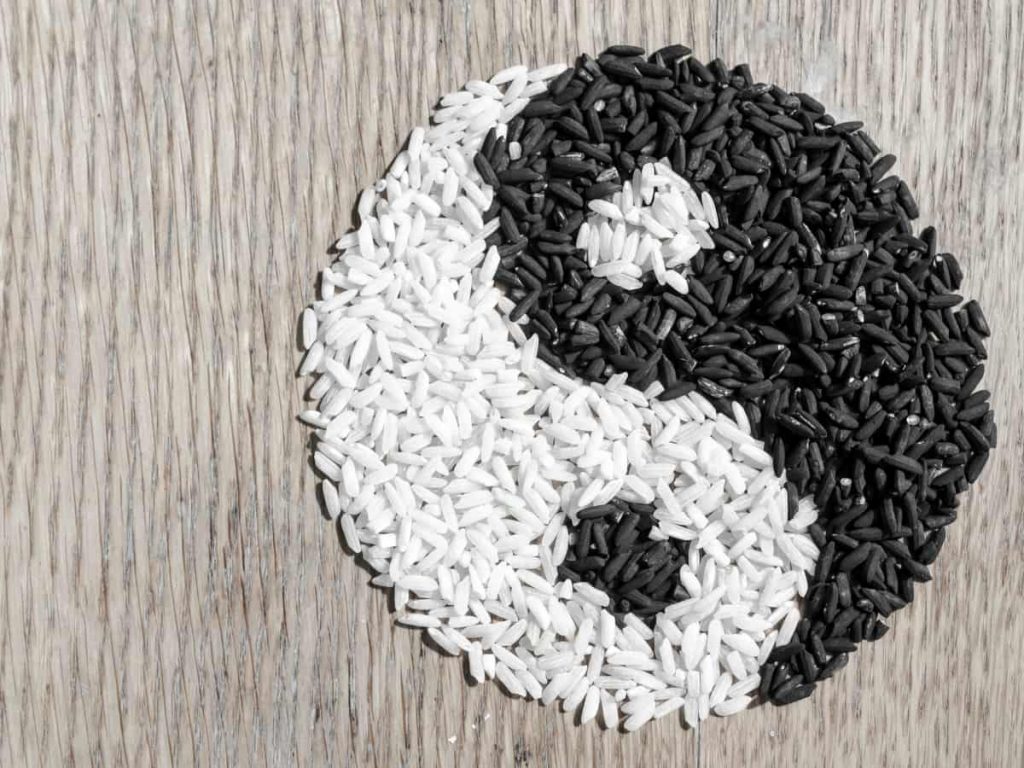 Yin & Yang motif in rice