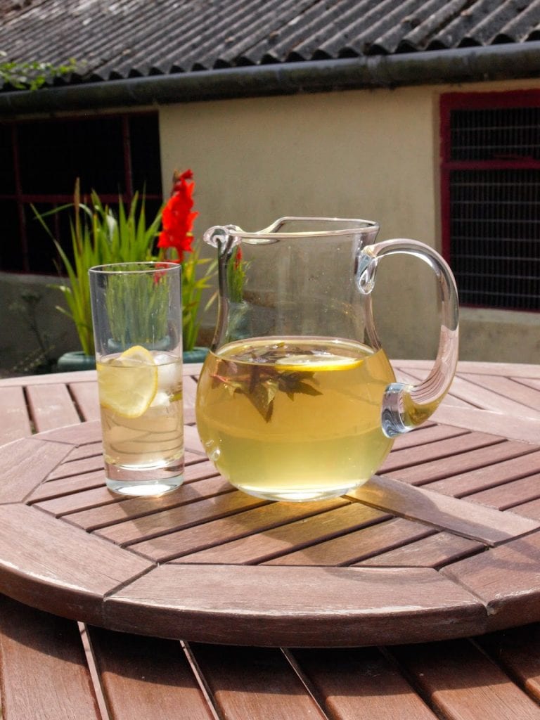 Iced Green tea in jug with glass