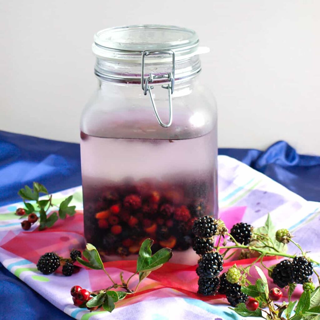 Hedgerow Vodka with blackberries and rosehips