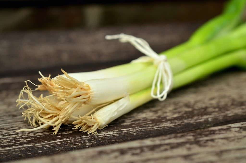 bunch of spring onions