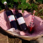 Forage for blackberries and make Blamble and Vanilla Cordial