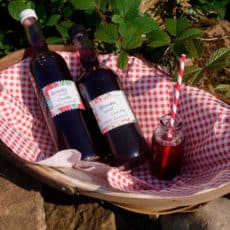 Bottles of Blackberry and Vanilla Cordial