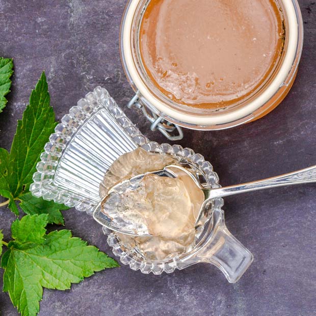 White Currant Jelly Jam on spoon with jar