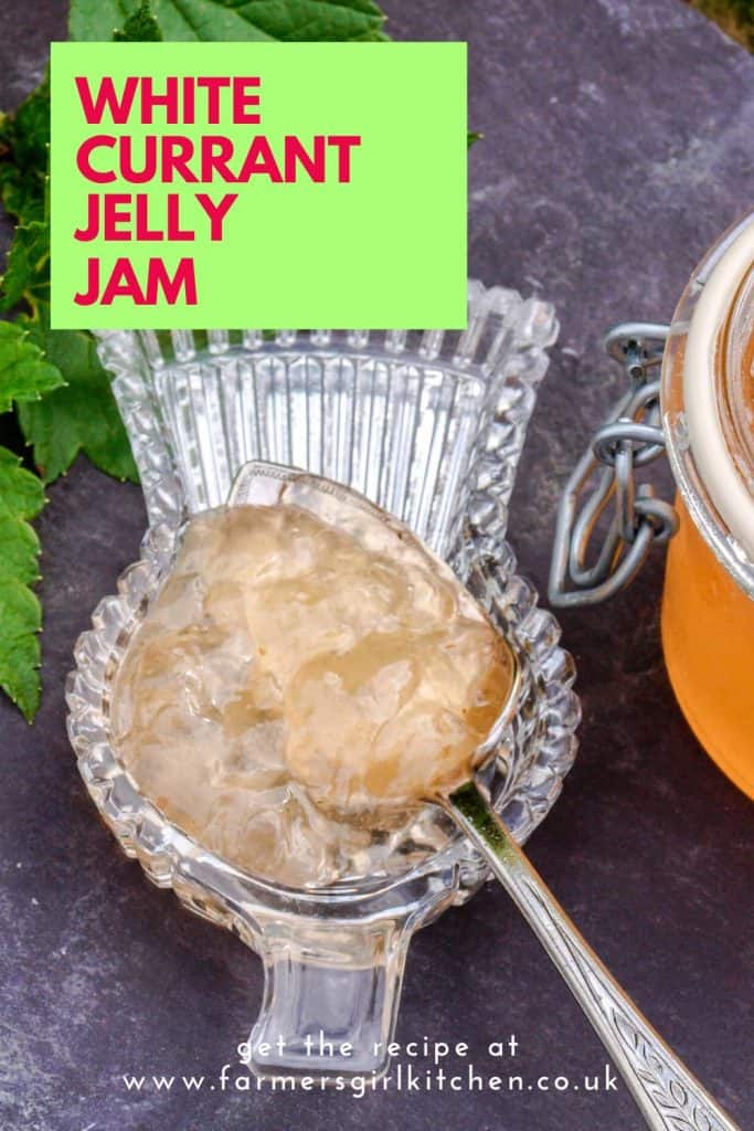 Spoon of White Currant Jelly Jam