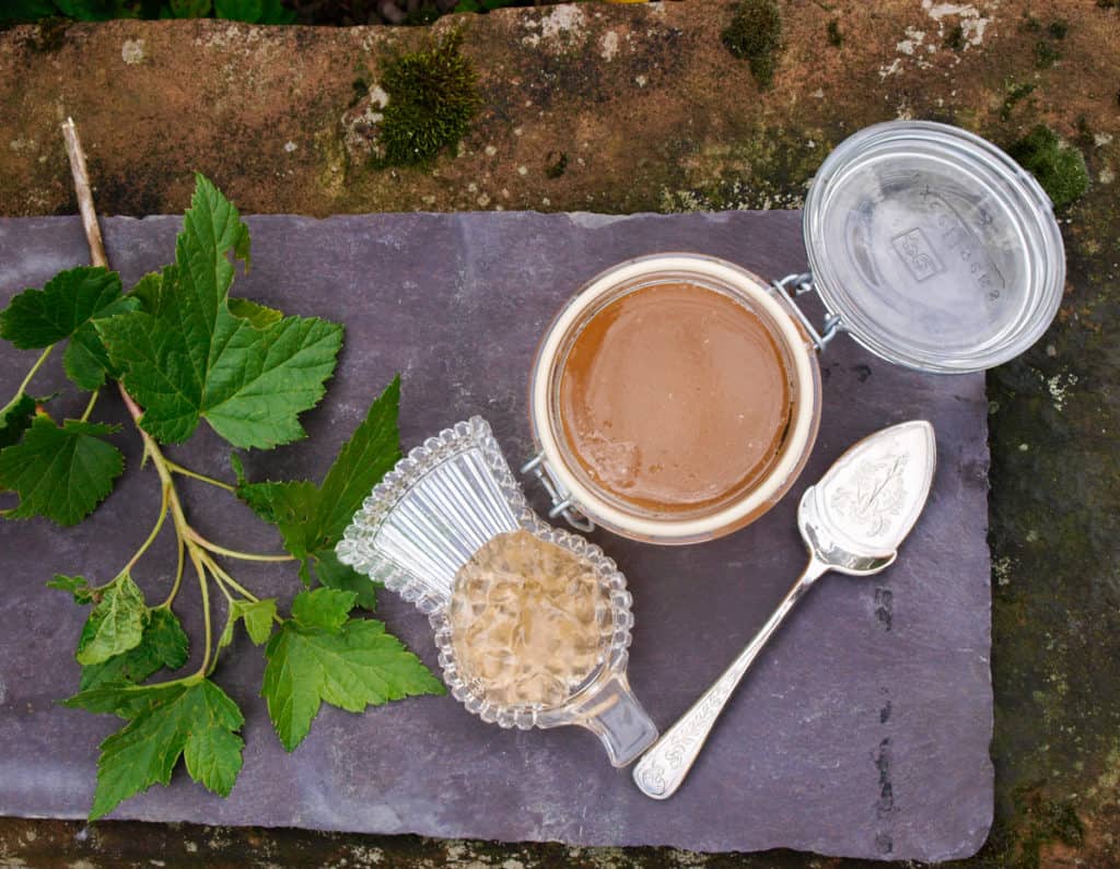 Homemade White Currant Jelly Jam