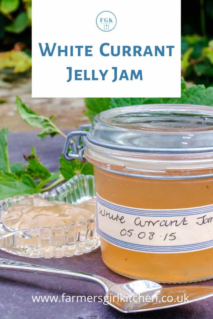 Jar of White Currant Jelly-Jam