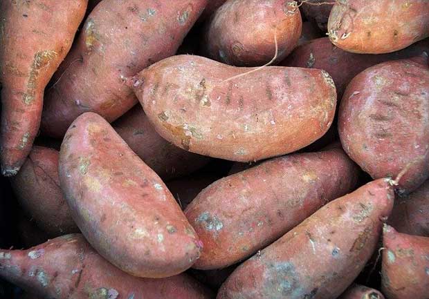 sweet potatoes, unpeeled