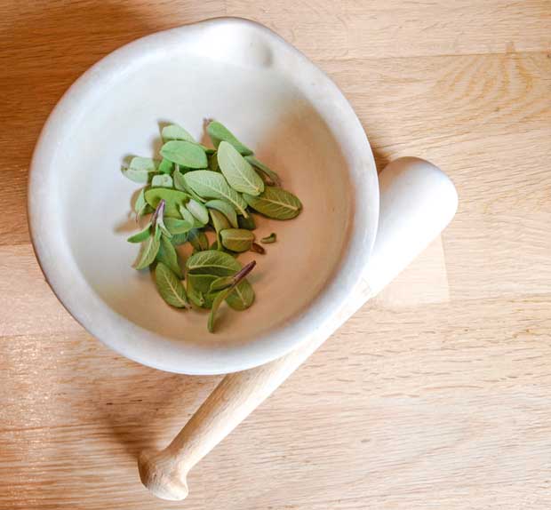 Mortar and Pestle with sage leaves