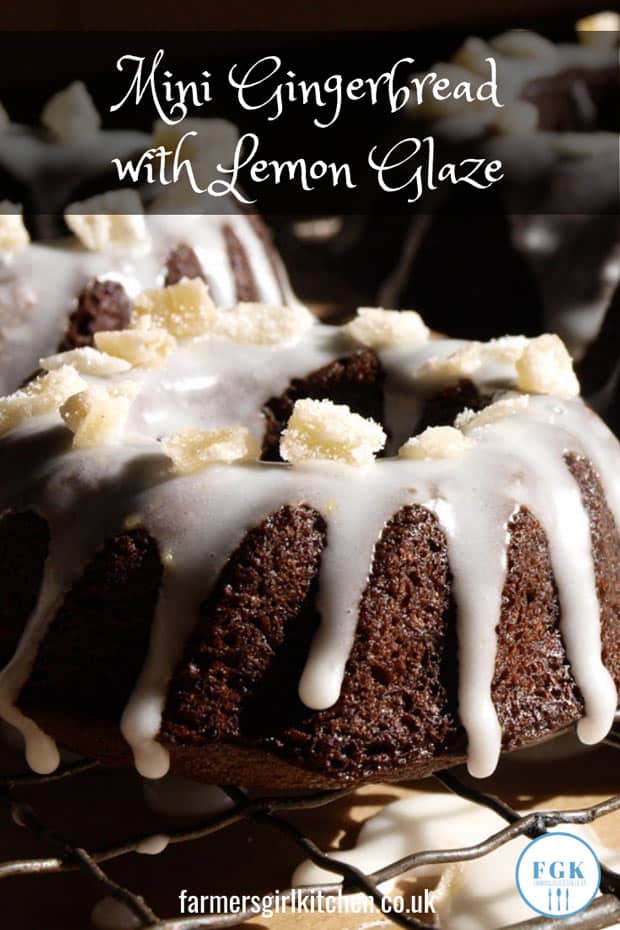 Sweet sticky gingerbread baked in a mini bundt tin with a tangy lemon glaze - perfect for Christmas and Holidays