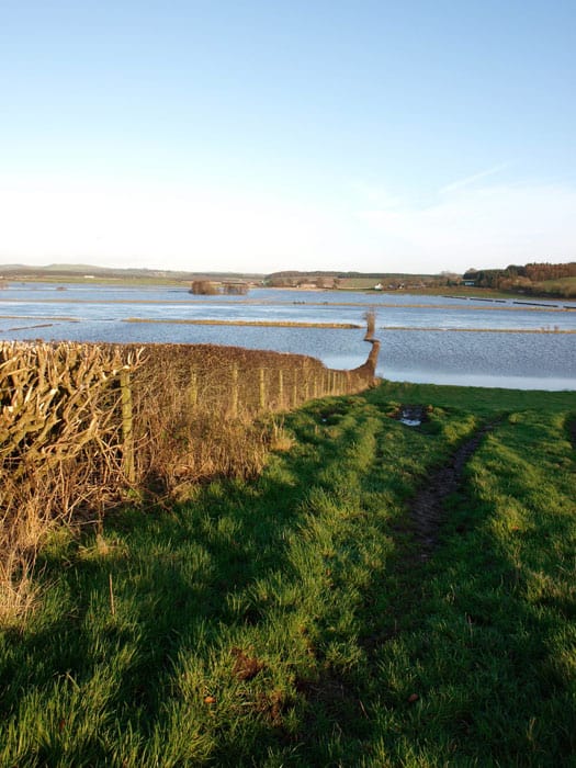 Flooded River Annan
