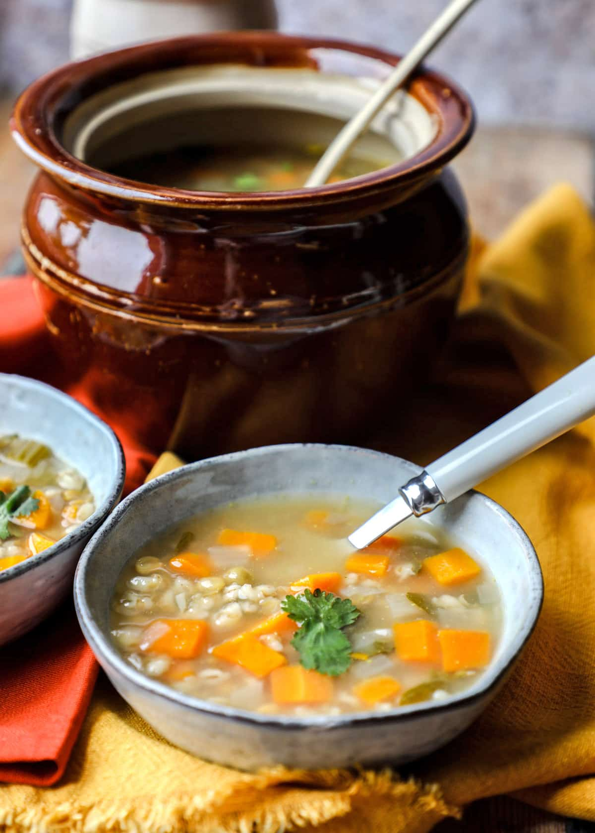 Scotch Broth in tureen with bowl and spoon