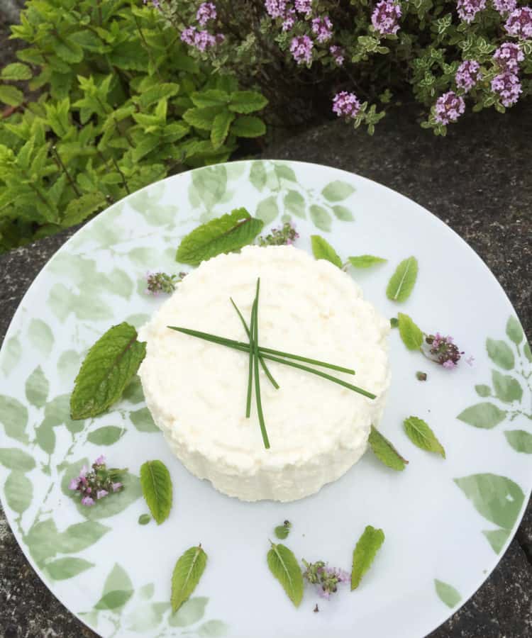 Home made soft cheese