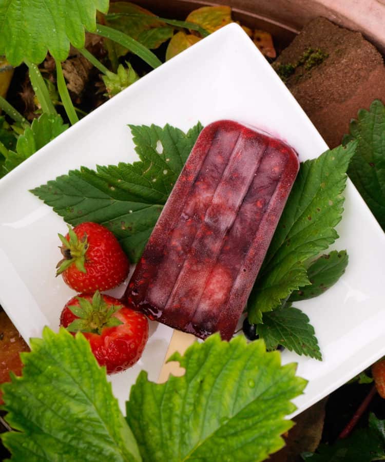 Summer Pudding Ice Lollies
