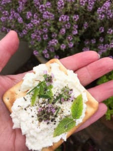 Cracker with homemade soft cheese and herbs