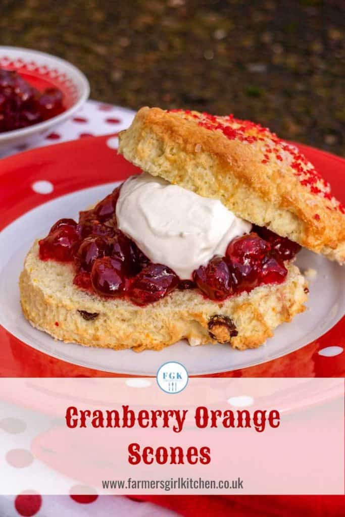 Cranberry Orange Scones with jam and cream