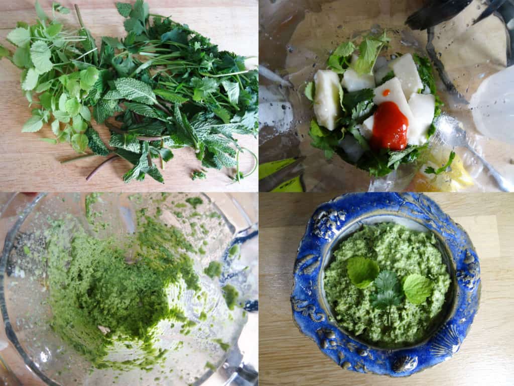 How to make Coriander and Mint Dip