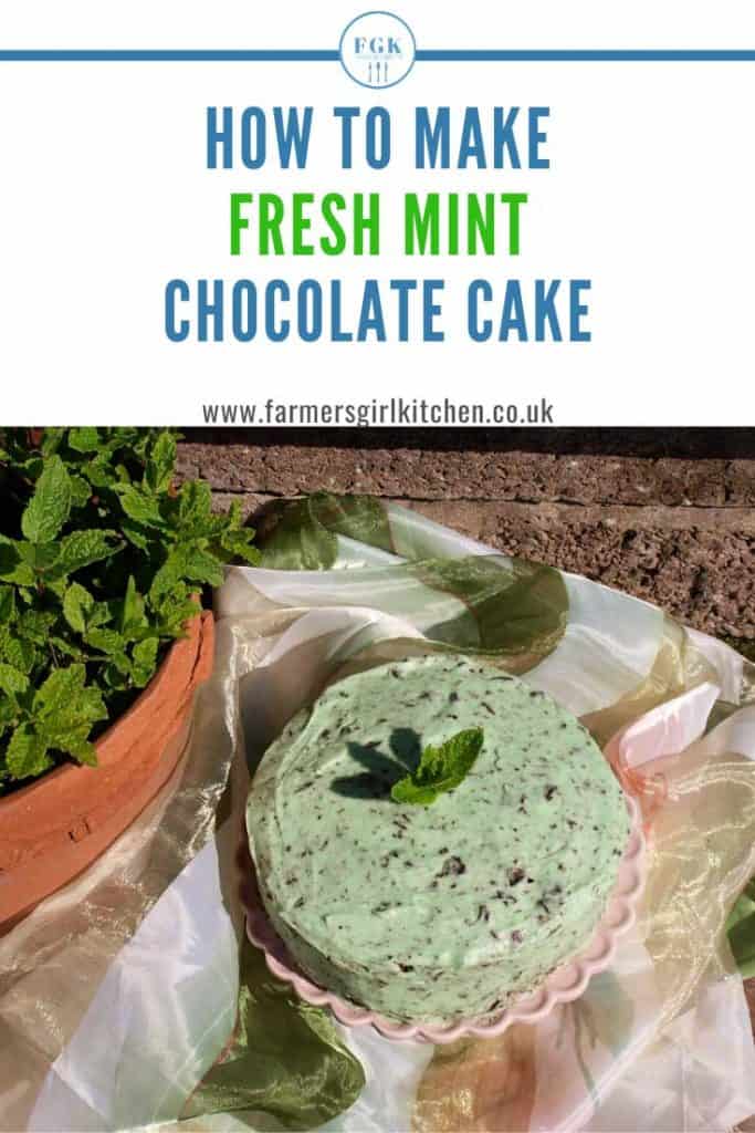 Fresh Mint Chocolate cake recipe