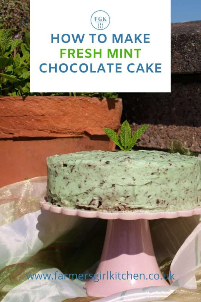 Make Fresh Mint Chocolate Cake