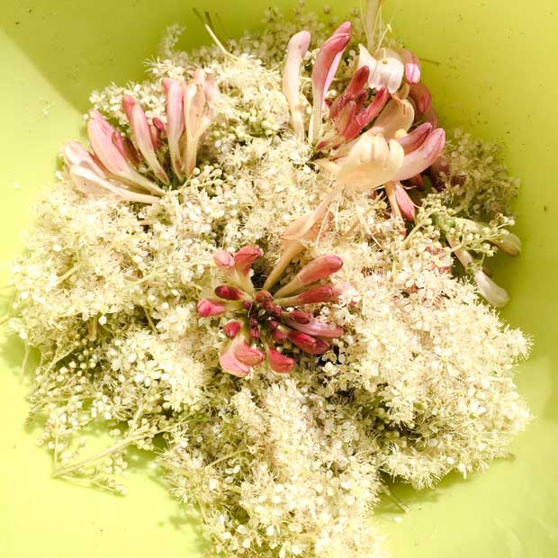 Bowl of wild flowers 