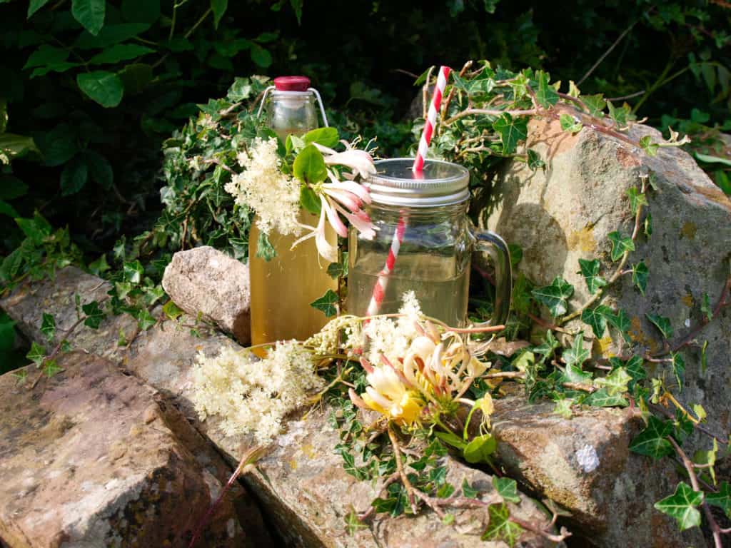 Honeysuckle and Meadowsweet Spritzer