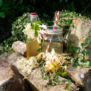 Honeysuckle and Meadowsweet Spritzer