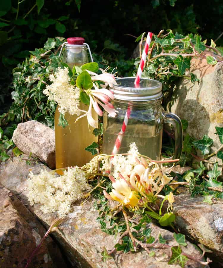 Honeysuckle and Meadowsweet Spritzer