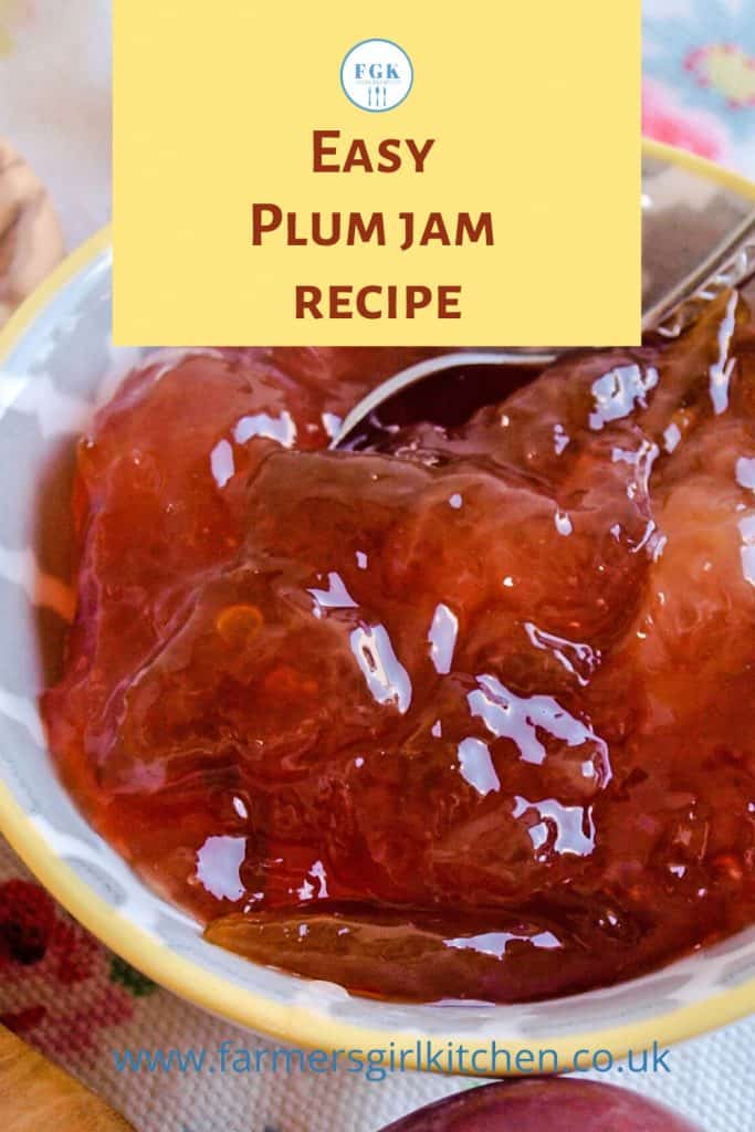 bowl of plum jam