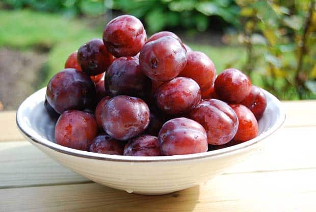 Bowl of plums