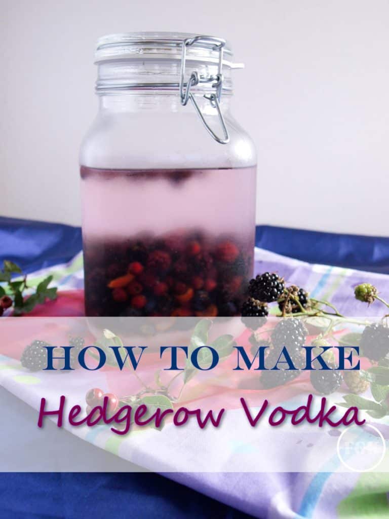 Make your own Hedgerow Vodka - an ideal gift