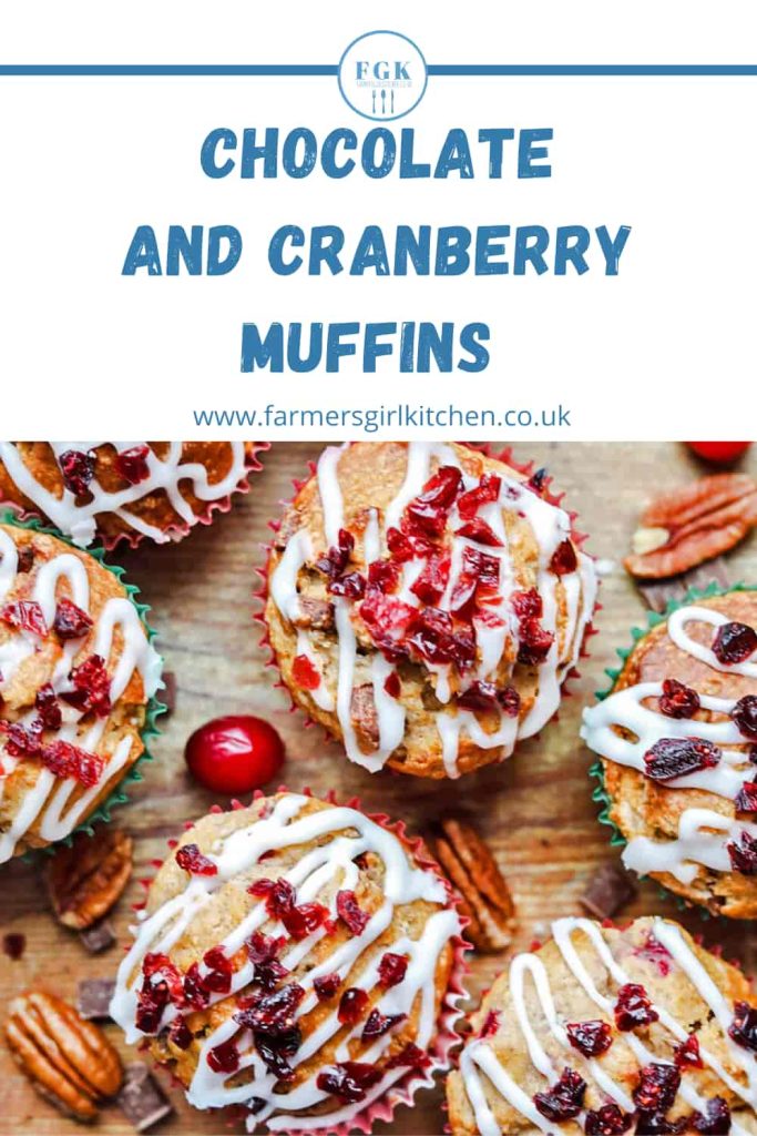 Chocolate and Cranberry Muffins decorated with cranberries