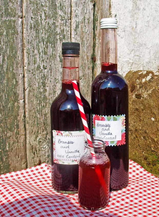 Blackberry and VAnilla Cordail