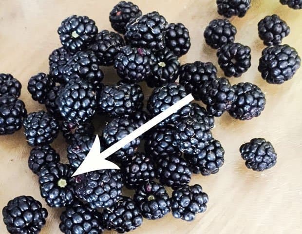 Blackberries on table