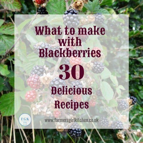 £0 Delicious Blackberry Recipes