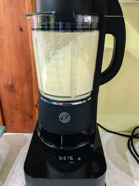 Easy Blender Onin Gravy in the Froothie Evolve Blender 