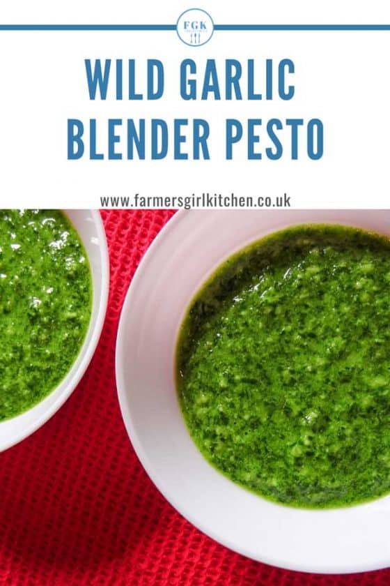 Wild Garlic Blender Pesto Recipe 