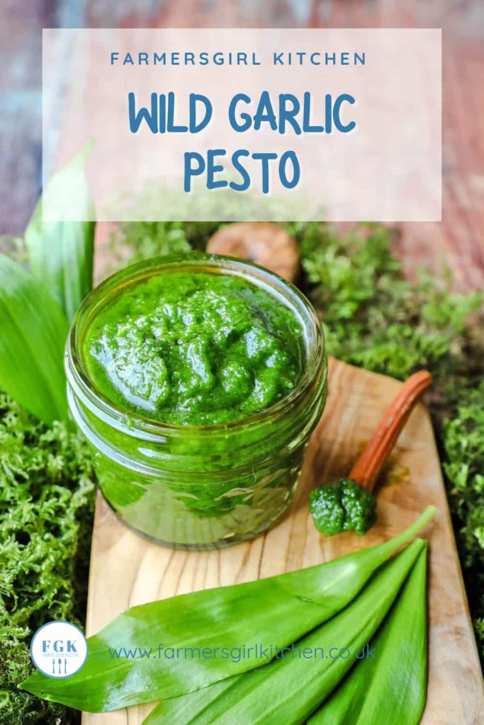 Wild Garlic Pesto Recipe