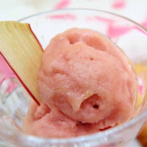 Rhubarb Rose Sorbet