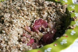 strawberry rhubarb crumble