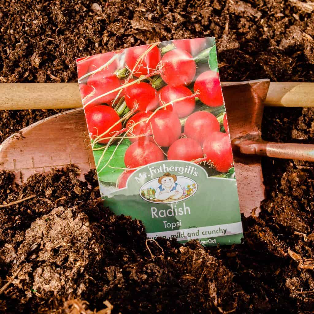 Grow Summer Radish - seed packet 